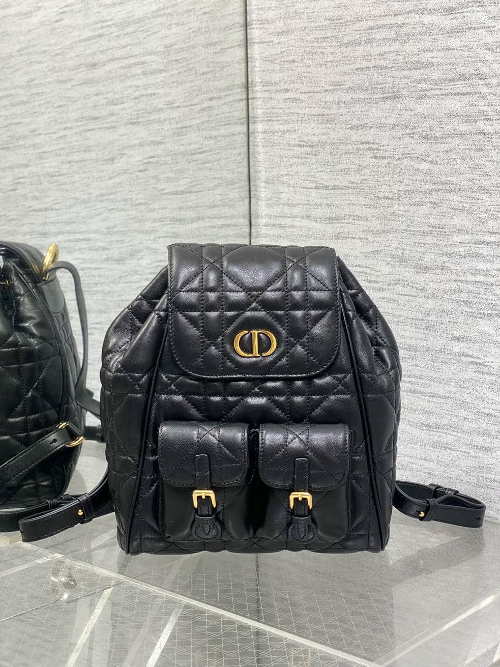 Backpack 008